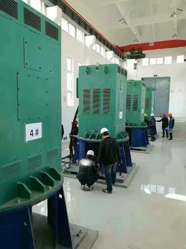 阳谷某污水处理厂使用我厂的立式高压电机安装现场
