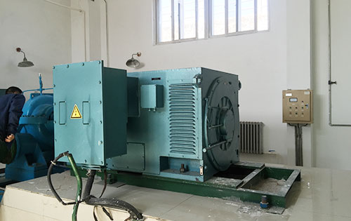 阳谷某水电站工程主水泵使用我公司高压电机